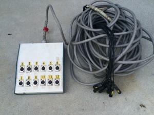 12 Channel Snake
