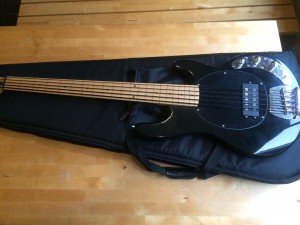5 String Fretless Bass Musicman Stingray