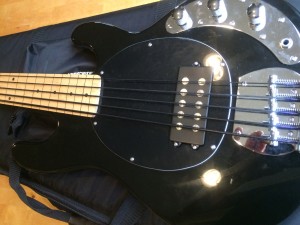 5 String Fretless Bass Musicman Stingray