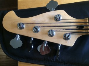 5 String Fretless Bass Musicman Stingray