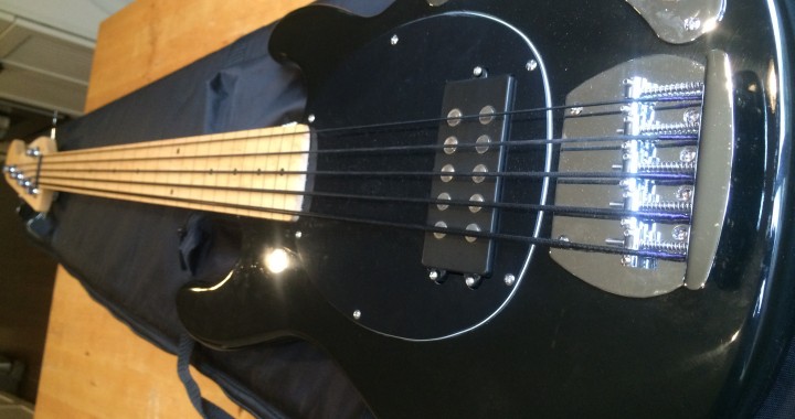 5 String Fretless Bass Musicman Stingray