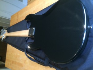 5 String Fretless Bass Musicman Stingray