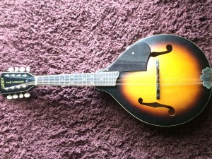 Gretsch New Yorker